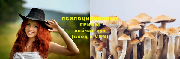Альфа ПВП Волосово